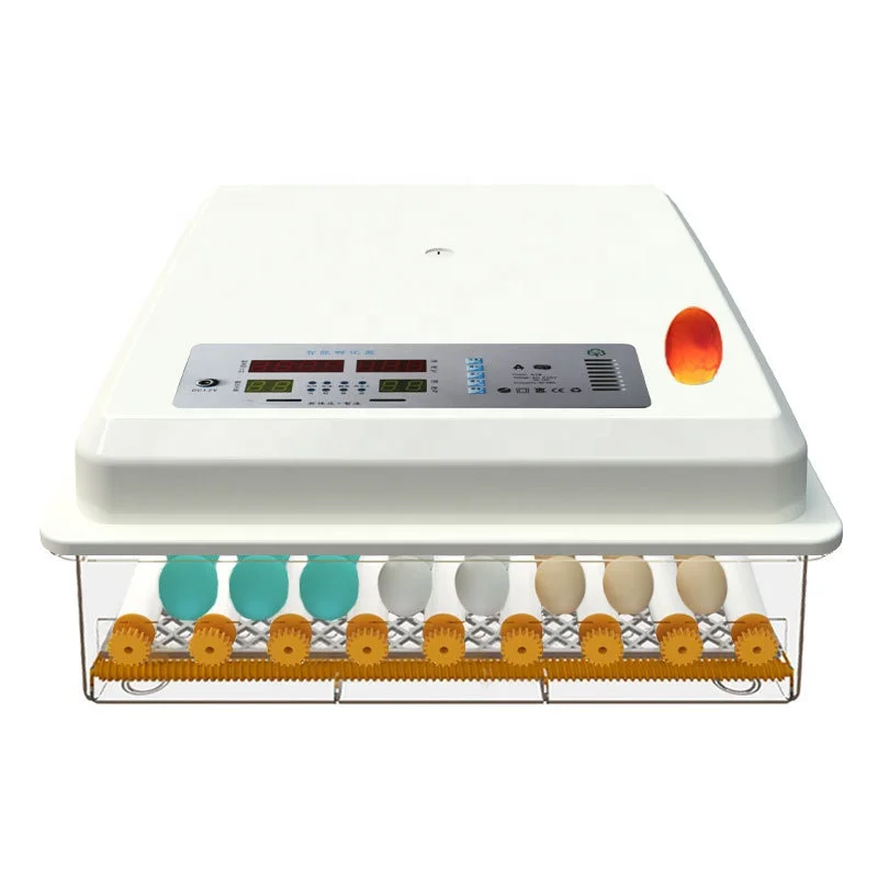 Brooder Bird Quail Chick Hatchery Incubator Poultry Hatcher Turner