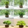Simulación de plantas verdes en maceta, juego de 6 piezas.