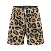 Leopardo