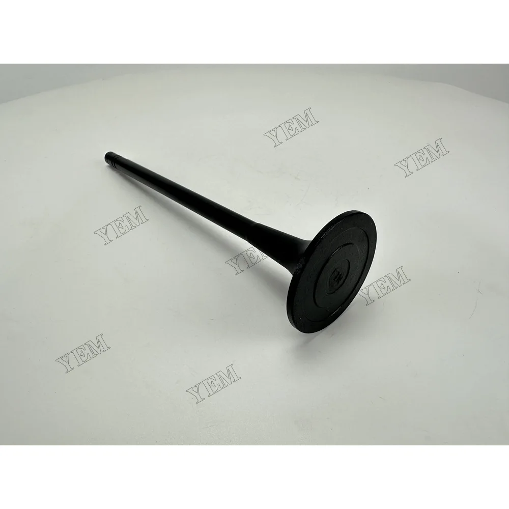 Intake Valve for Mitsubishi S12H Replacement Engine Parts 3