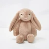 Brown bunny