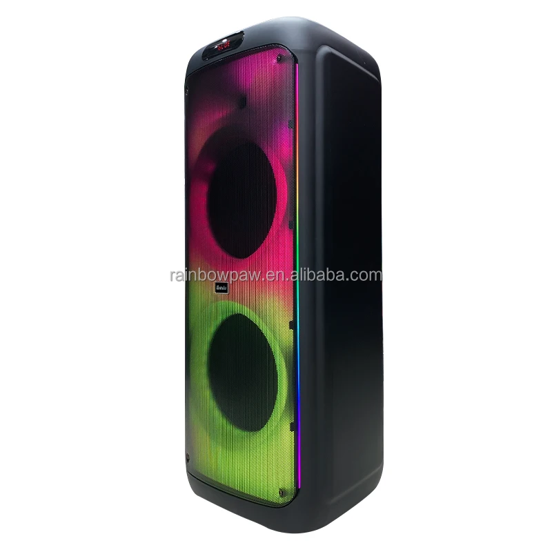 Dual 12 Inch Karaoke BT Speaker - DJ Party USB Portable Woofer