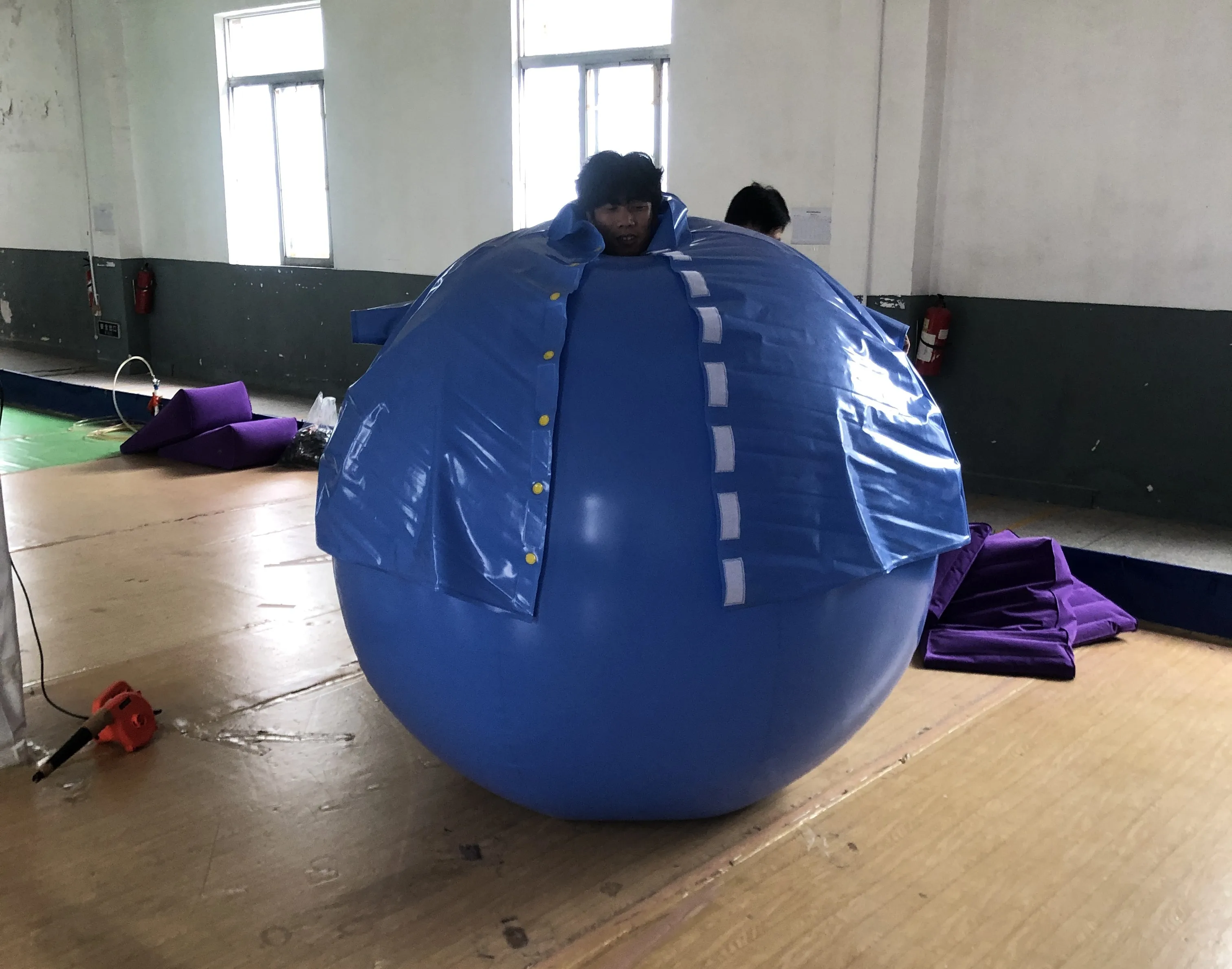 Factory Price Inflatable Costume Bouncy Inflatable Ball Suit Blueberry ...