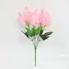 AL94-165-5 rose