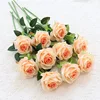 Rosa champagne