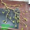 Simulated Green Fruit Tree Branches