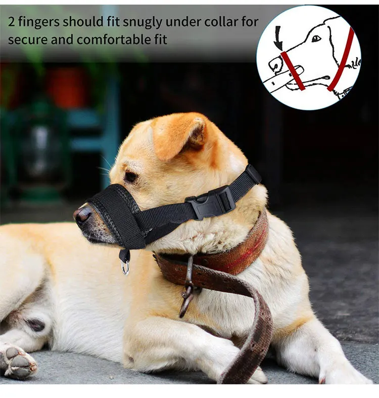 dog muzzle duck face