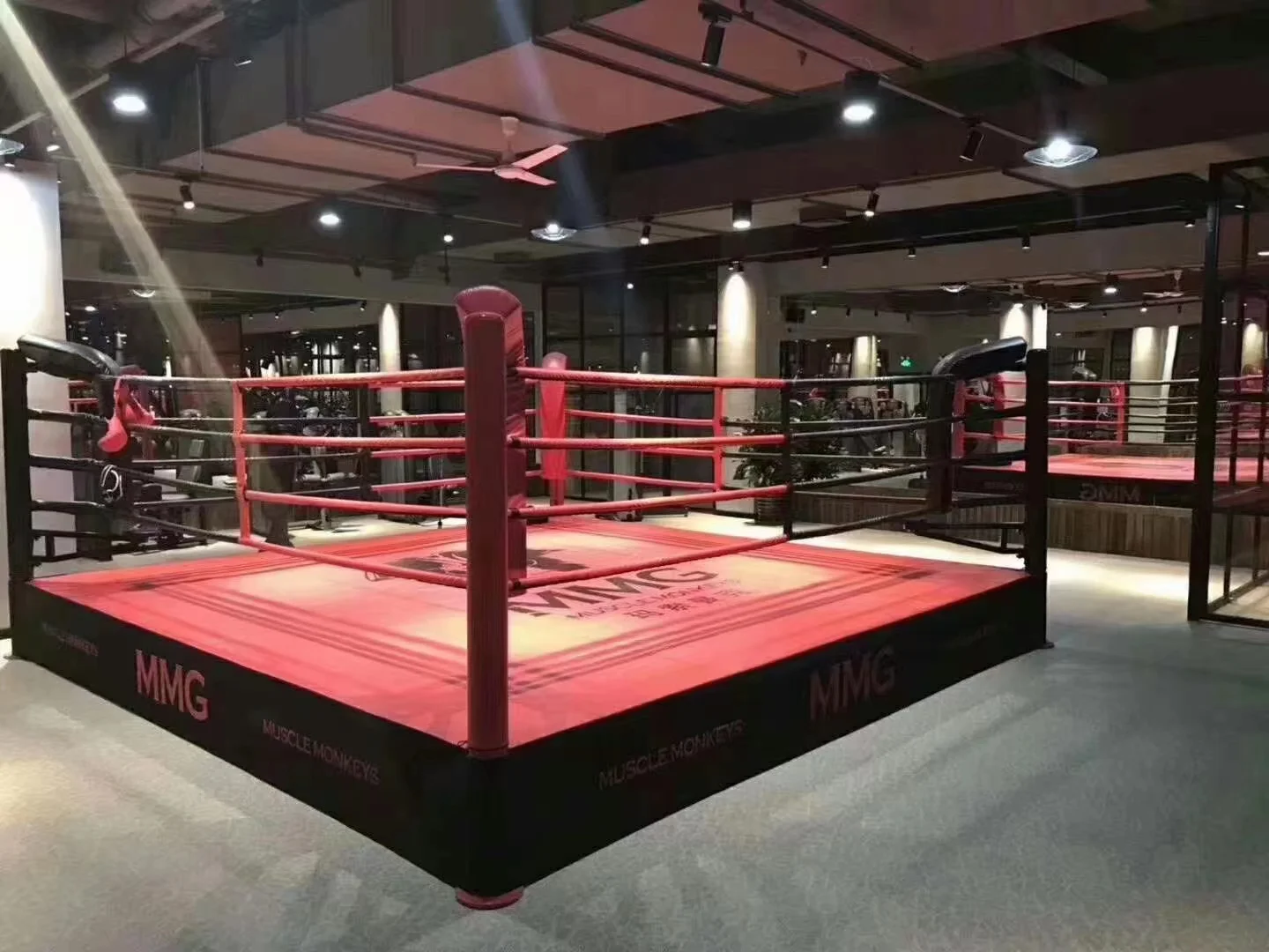 Shandong Factory Professional Standard Competition Martial Arts ...
