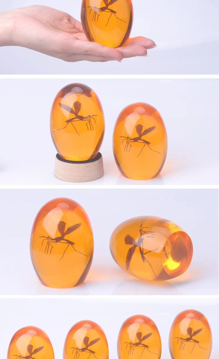 Hot Sell Custom Amber Paperweight with Mosquito Inside
