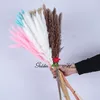 small pampas 30pcs set length 45cm
