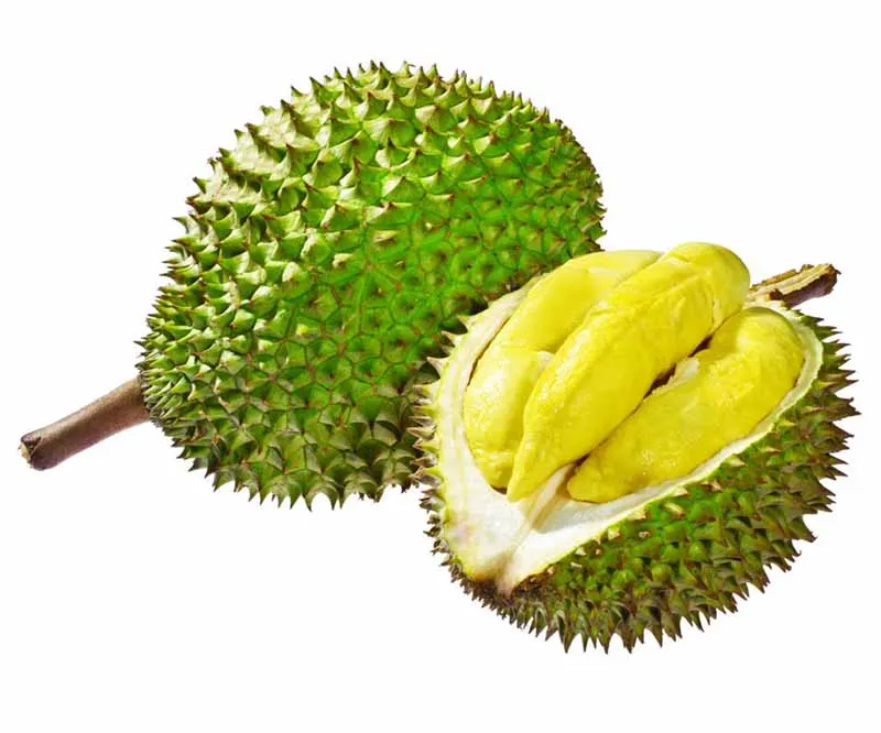 Fresh Durian The Best Price For You Best Quality 100 Natural And Original From Viet Nam Buy