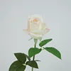 Marfil y rosa
