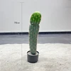 70cm