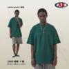 Verde foresta