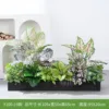 hc-Y100-19 es adecuado para jardineras de 100 cm.
