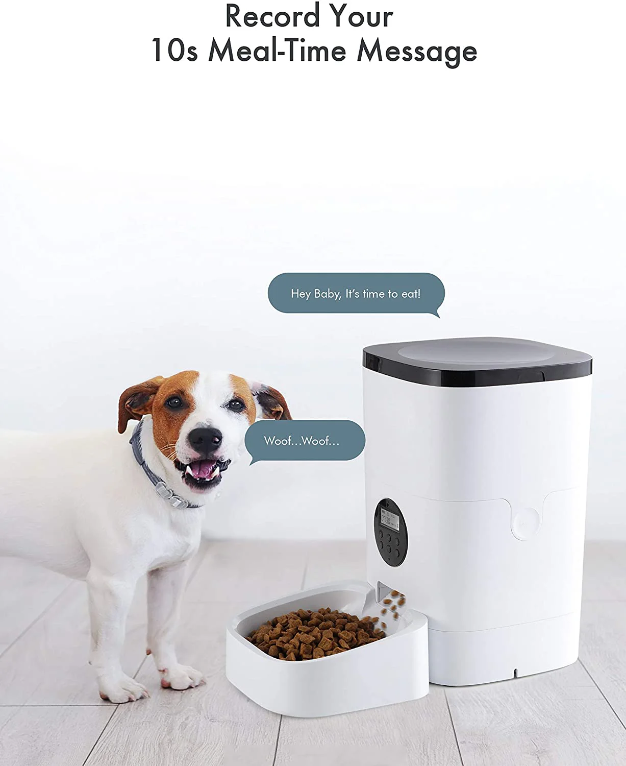 7 day pet feeder