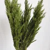 Verde dell'esercito