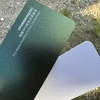 TPU Matte youthful Green Chameleon