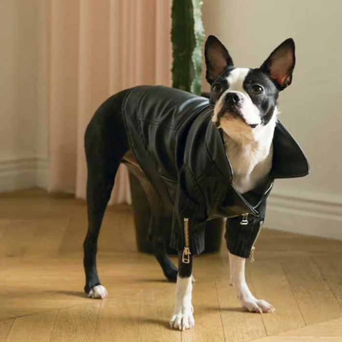 Fashion Spice Girl Biker Leather Pet Suit Dress Jacket Windbreaker Dog Clothing Coat
