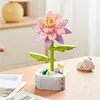 Épiphyllum rose