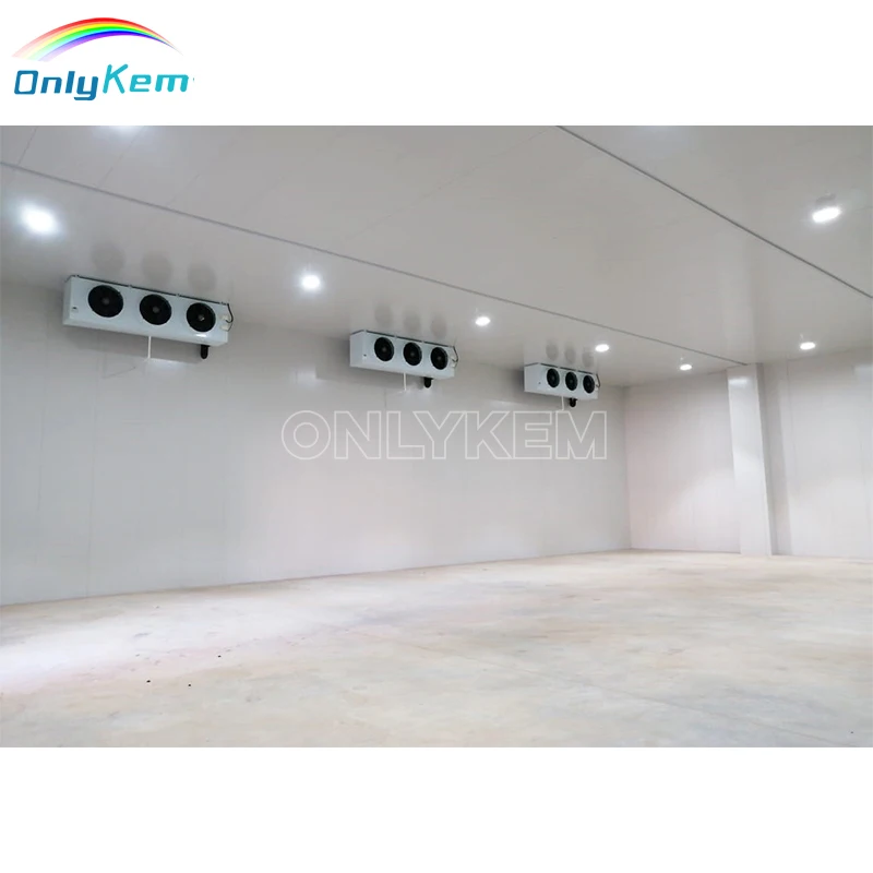 Walk in Cold Room Industrial Refrigerator Room 20x15x10ft Cold Chamber Freezer Sliding Door