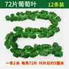 Color-printed 72 grape leaves-12 strips