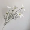 Gesangju-white
