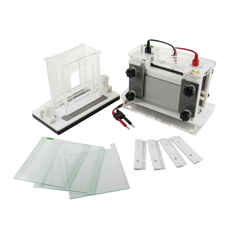 laboratory-electrophoresis-system-vertical-gel-apparatus