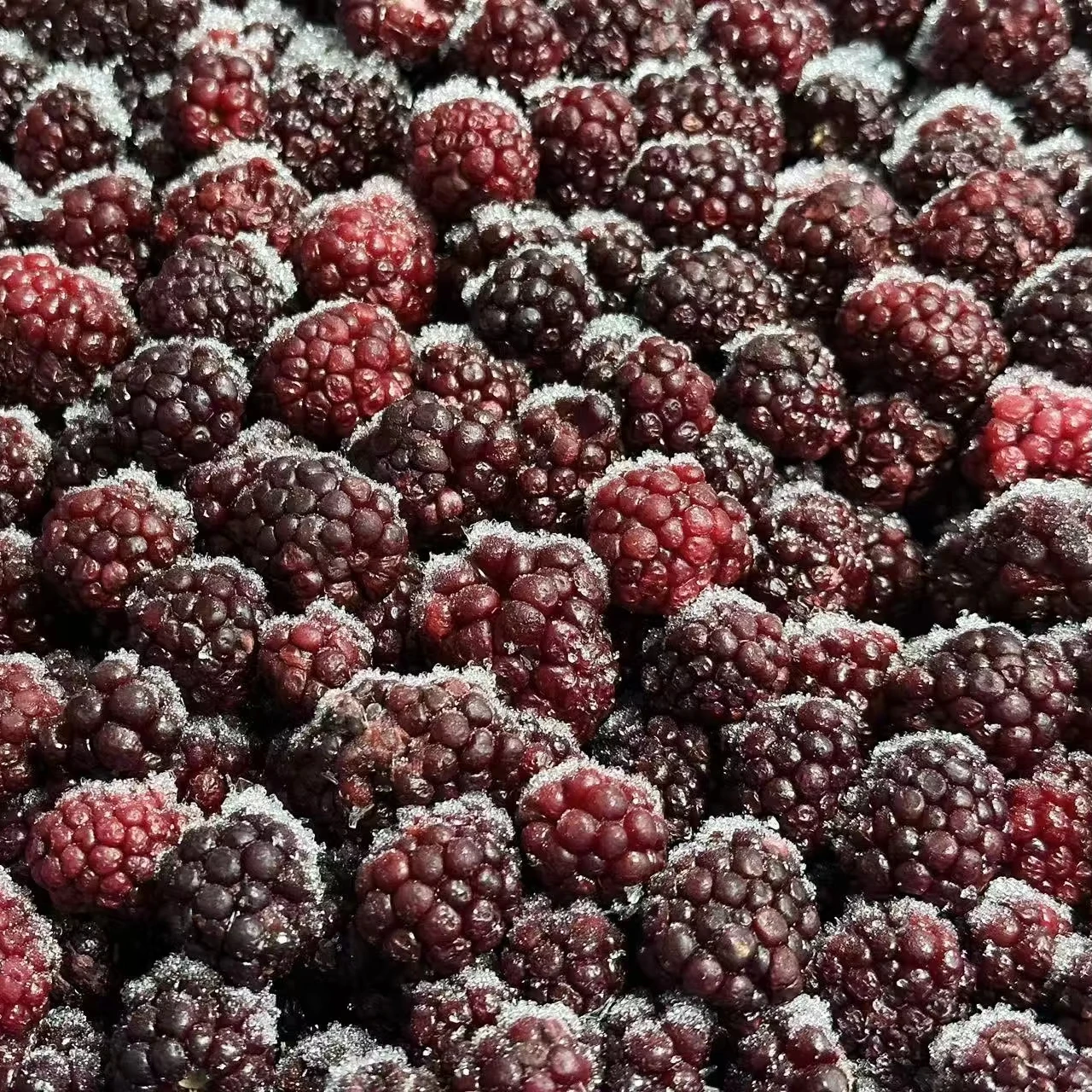 Wholesale Price Bulk 10kg Frozen Blackberries IQF Frozen Blackberry Fruits