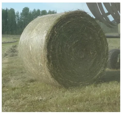 Durable Plastic HDPE Round Balling Cover Edge Net Wrap for Hay Balers Features a Shade Net Moulding/Cutting Processing Service