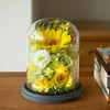17*22 cm giallo