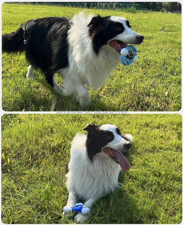 Multi Styles Nylon Dog Chew Toy Dog Chew Toys For Aggressive Chewers