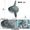 M-3067 Sunfish (large)