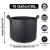 10 Gallon