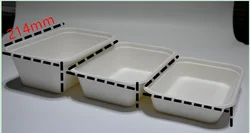 Брендовые пищевые контейнеры Topteam с высоким содержанием сахара, одноразовые контейнеры для хранения целлюлозы, багасса, Ланч-бокс