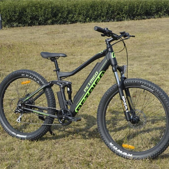 petrigo electric bike