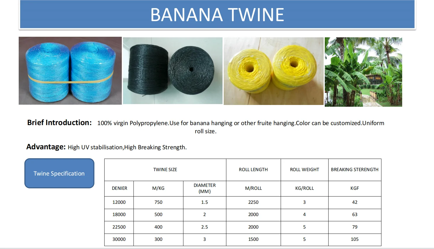 4 KG Reel Fibrillated Polypropylene Flat Tape for Agricultural Tying Needs