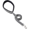 Black leash