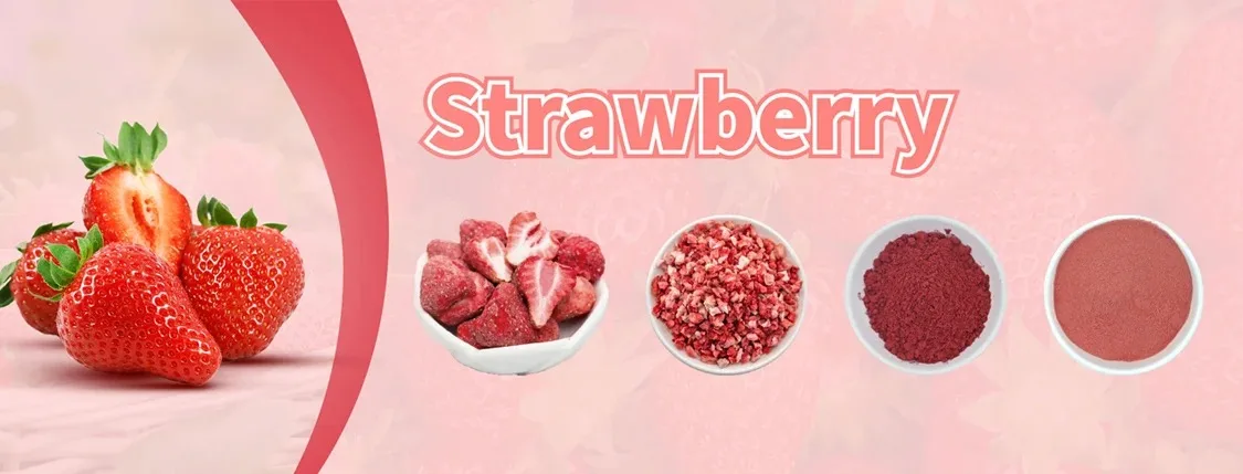 Premium Freeze Dried Strawberry Slices | Bulk Wholesale Price H7b4d6a34313a47a2b03f5fc945dff203S