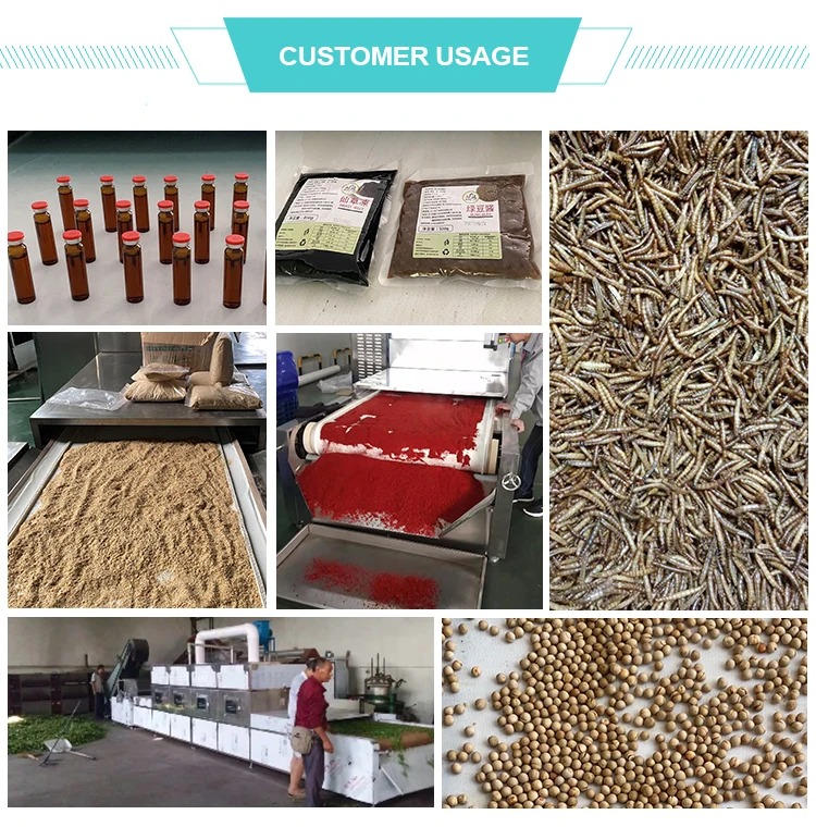 Automatic Continuous Microwave Belt Type Cheese Microwave Dryer for Food