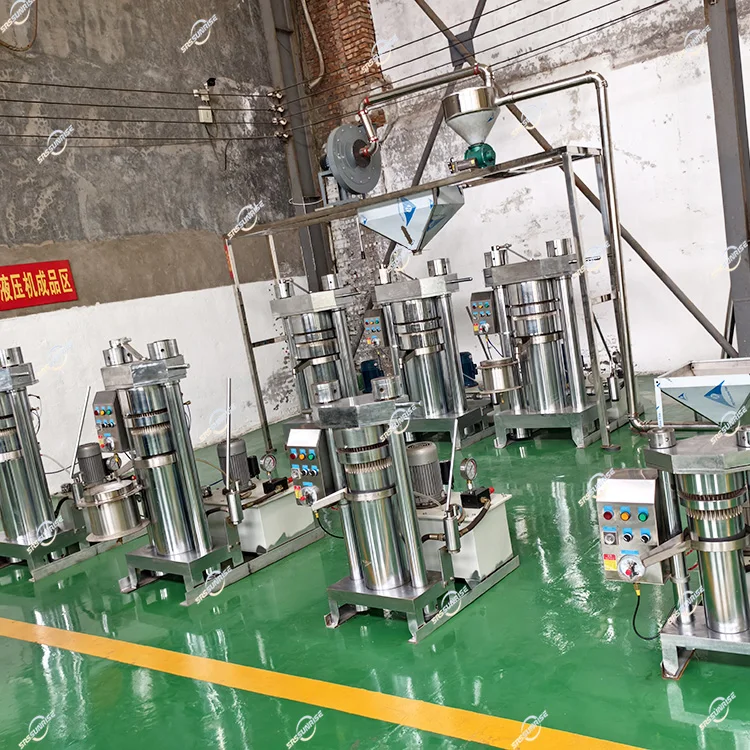 Small Hydraulic Extractor Cocoa Butter Nut Soybean Sesame Peanut Olive Sunflower Seed Mustard Avocado Oil Cold Press Machine
