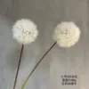 Large size