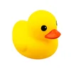 No. 2 duck