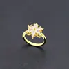 Ring 24