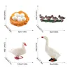 2415 cycle de croissance du canard-53g