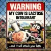 Vache laitière colorée modèle B plaquée fer