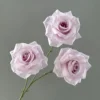 สีม่วงอ่อน
