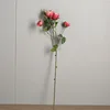 Rosa scuro