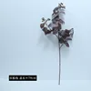 Una sola rama, 2 de color marrón rojizo
