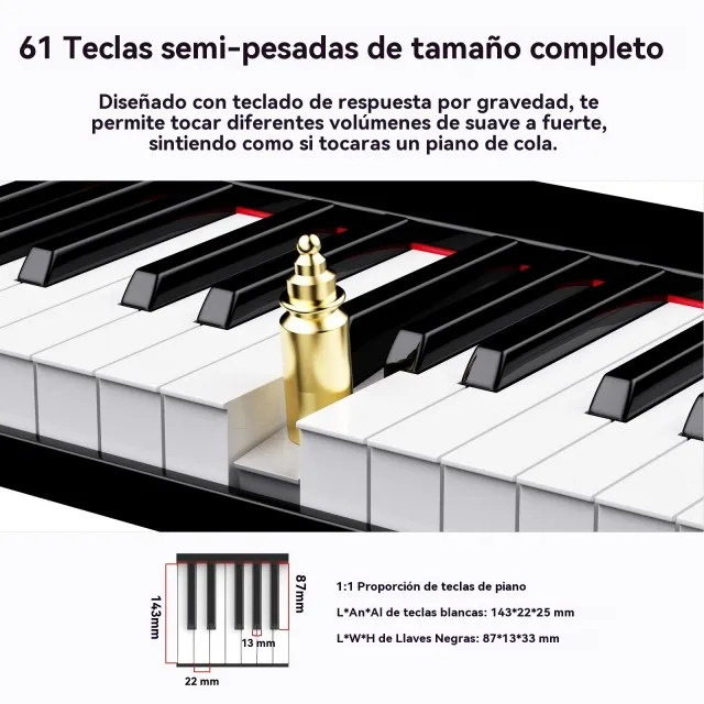 TERENCE TS-01 61-Key Electronic Digital Keyboard & Portable